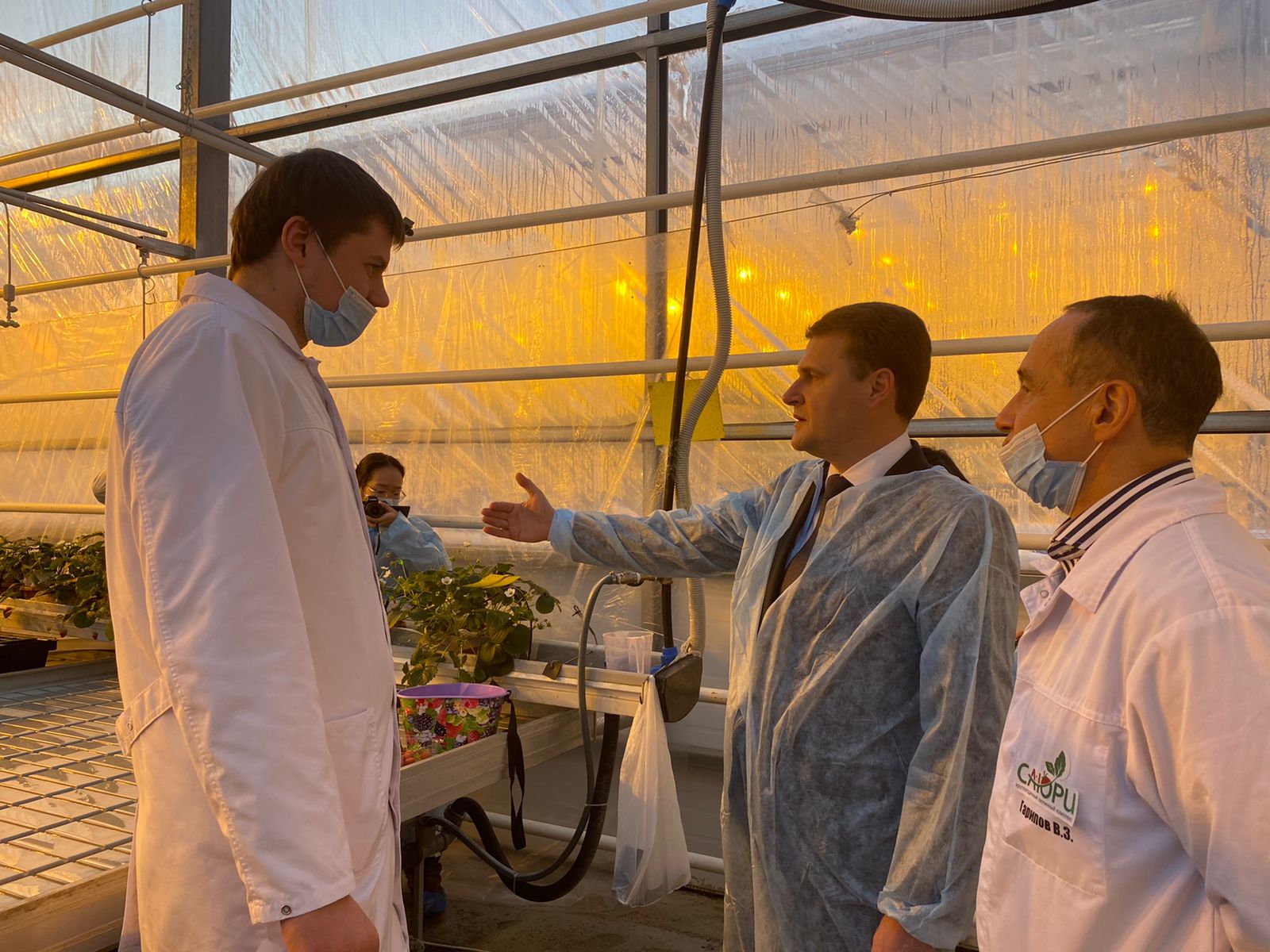 Более 2,3 тыс тонн овощей могут собрать в якутских теплицах «Саюри» в 2022 году