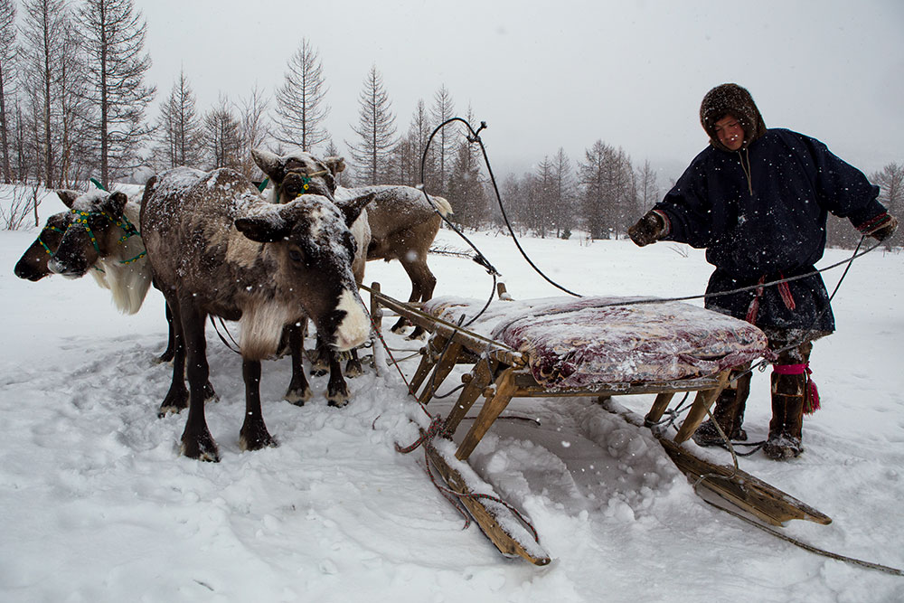 Полмиллиарда рублей будут направлять ежегодно на поддержку коренных малочисленных народов в Арктике России