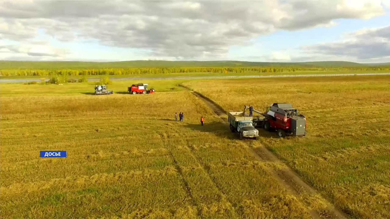 Финансирование сельского хозяйства увеличат на 1,65 млрд рублей в Якутии