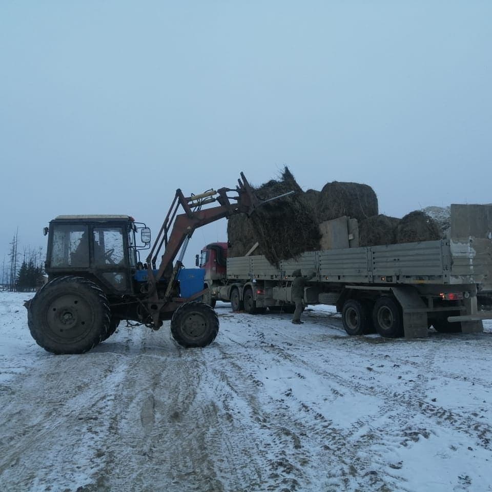 Жителям Чурапчинского района Якутии возместят ущерб за некачественное сено из Амурской области
