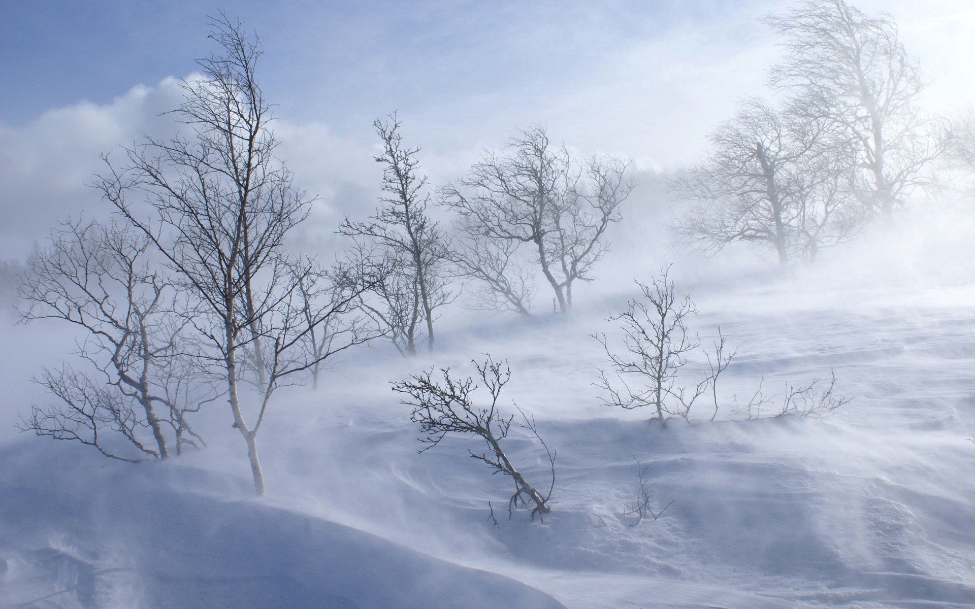 Порывистый ветер ожидается на юго-западе Якутии 29 ноября