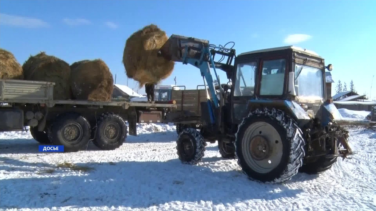 Более пяти тысяч тонн сена завели в Якутию