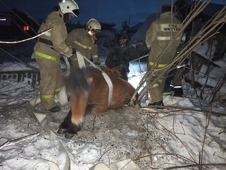 Пожарные спасли провалившуюся в яму лошадь в Сунтарском районе Якутии