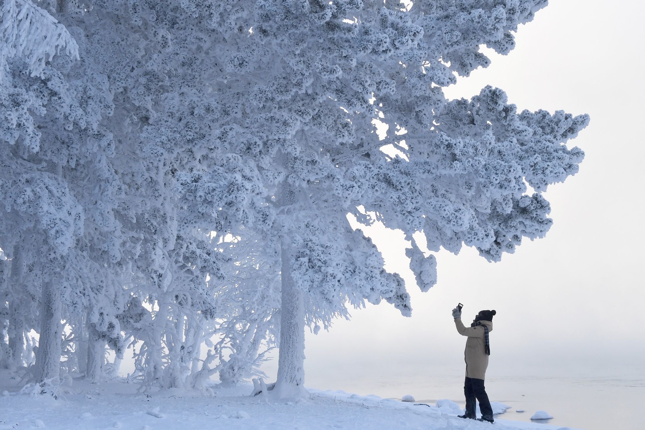 Похолодание до -38 градусов прогнозируют на северо-востоке Якутии