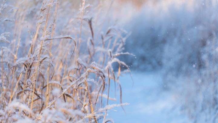 Морозы ниже -50 градусов зафиксировали в двух районах Якутии