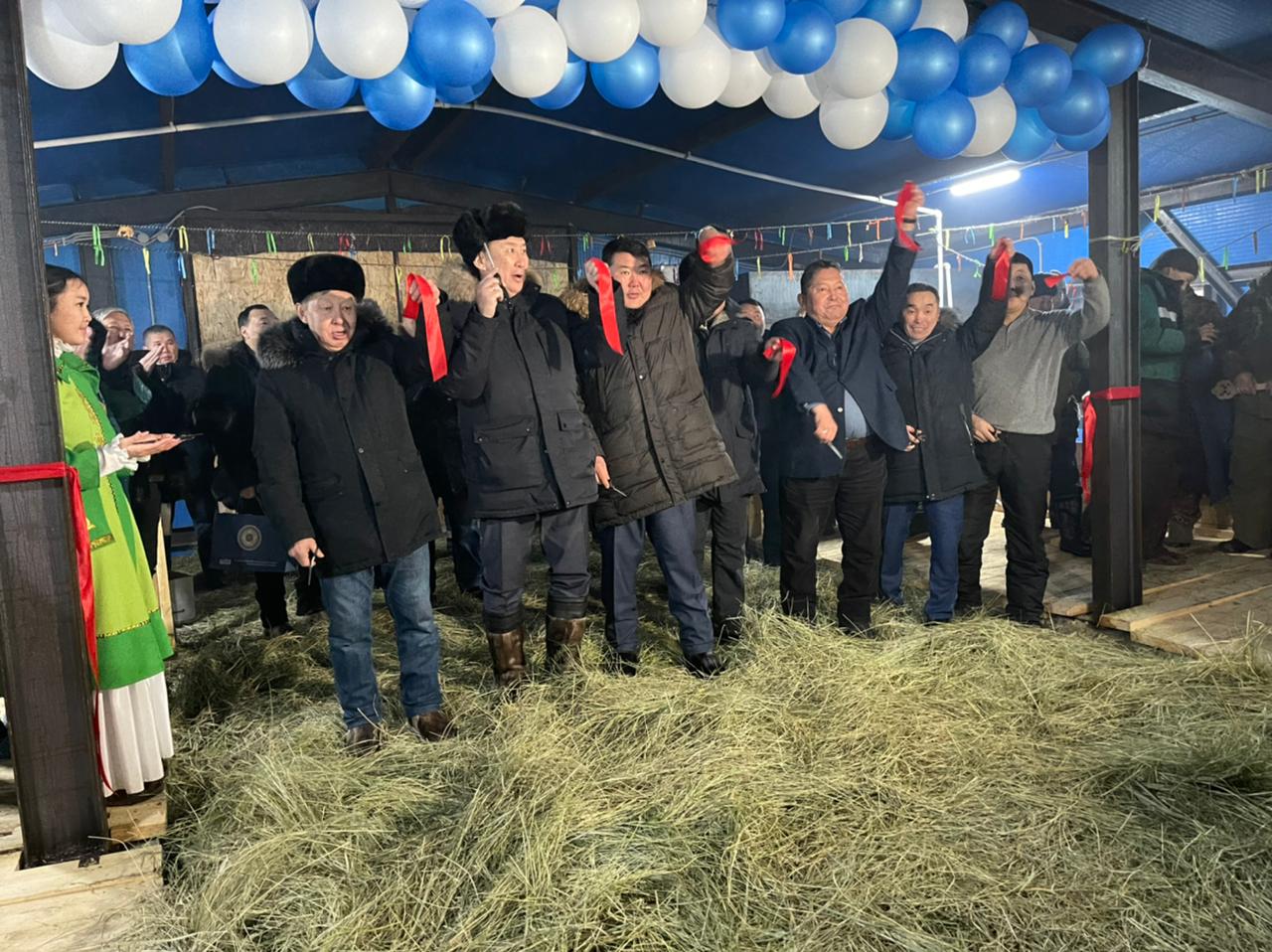 Новый коровник для якутского скота открыли в селе Ергелех в Якутии
