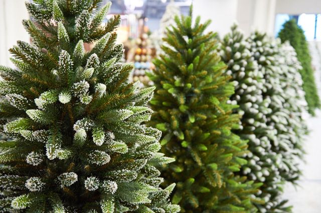 Жительница Алдана потеряла более 17 тыс рублей при покупке новогодней елки в интернете