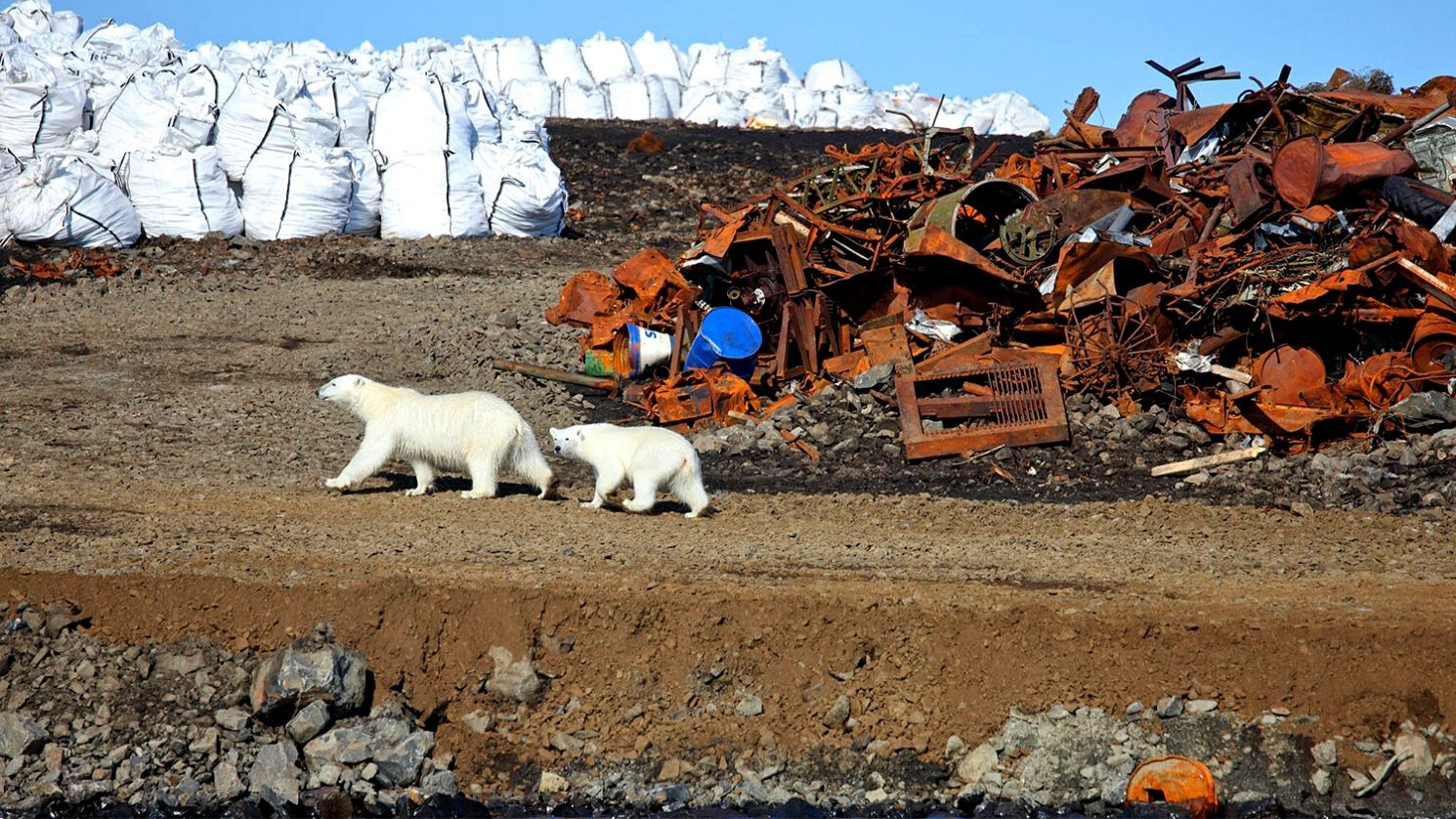 Более 4 млн тонн промышленного мусора скопилось у Северного Ледовитого океана в Якутии