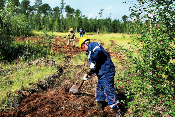 Айсен Николаев: Создание карбоновых полигонов обеспечит рекультивацию сгоревших лесов