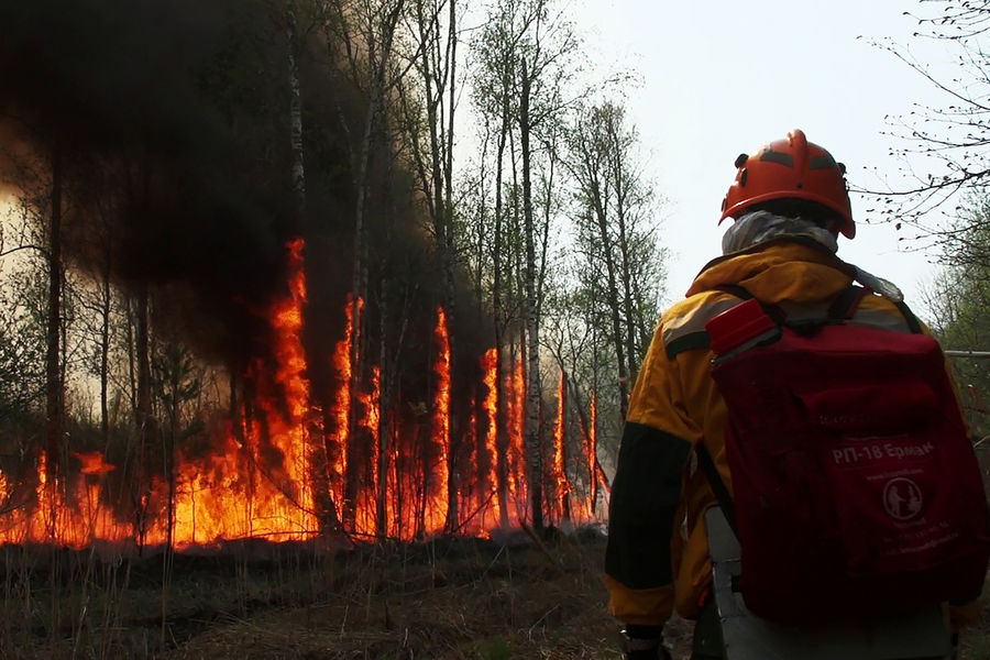Около 11 тысяч добровольцев, участвовавших в тушении пожаров, получили зарплату в Якутии