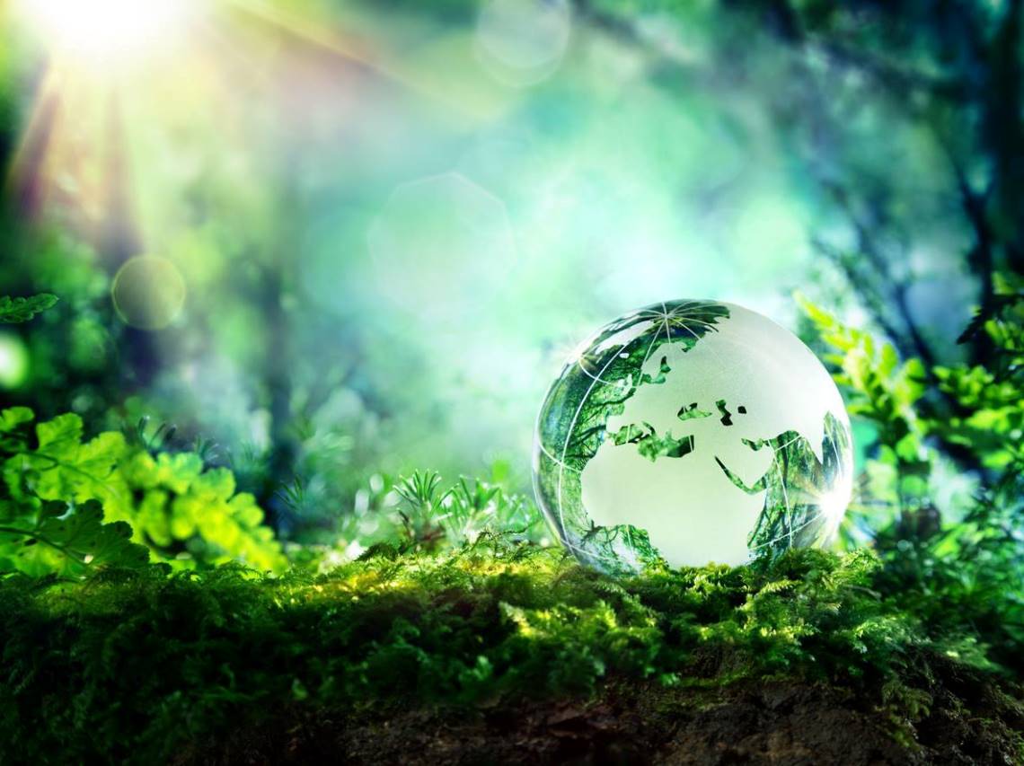 Победителя конкурса экологических проектов Th!nk Green объявили в Якутии