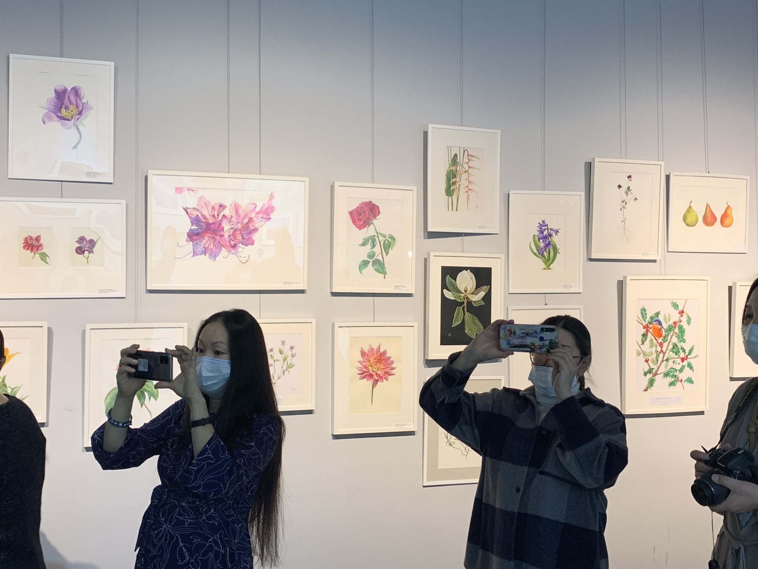 Выставку ботанической иллюстрации открыли в историческом парке Якутска