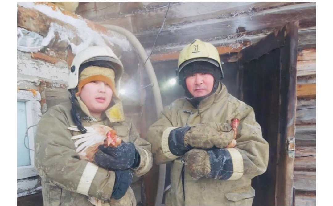 Пожарные спасли от огня перепелок и куриц в якутском селе Сунтар