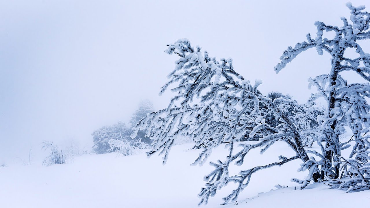 Ветер до 25 м/с прогнозируют в Булунском районе Якутии 21 января