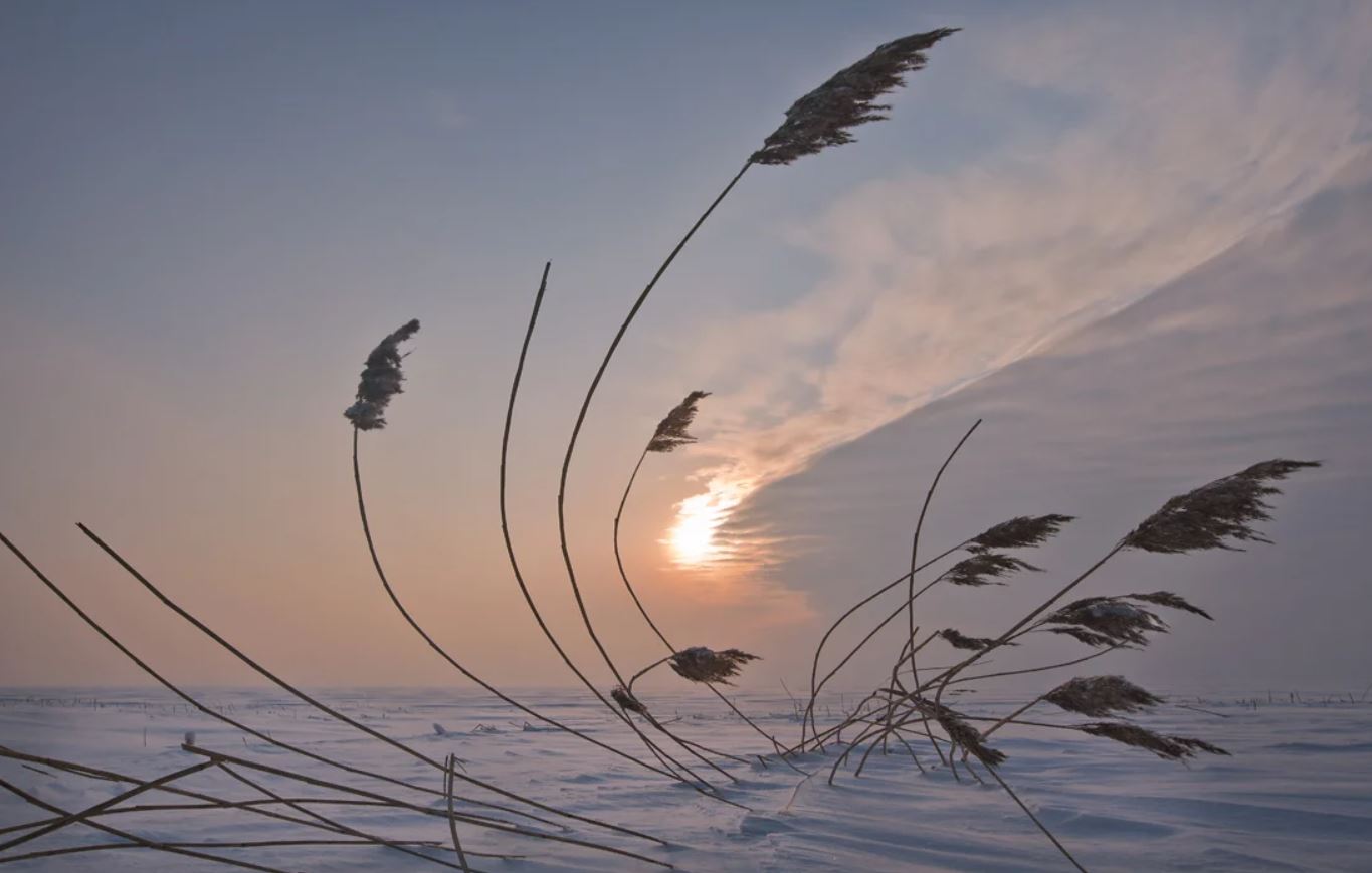 Усиление ветра прогнозируют в Якутии 28-29 января