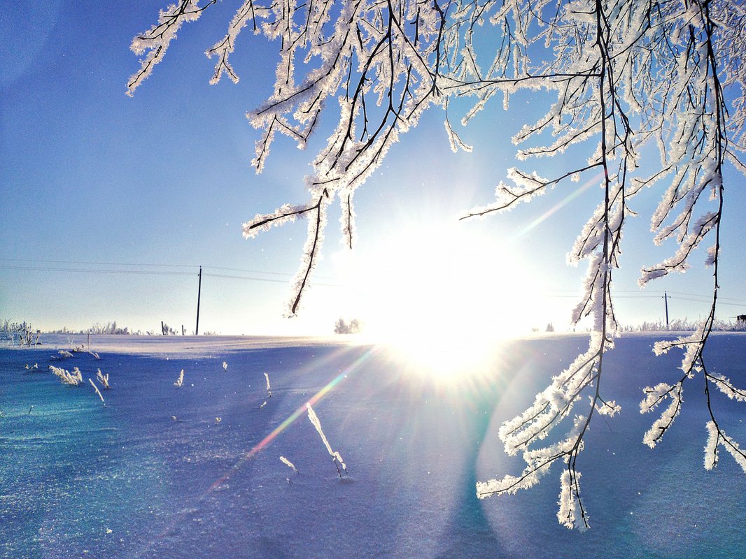 Синоптики прогнозируют теплую погоду в феврале в Якутии