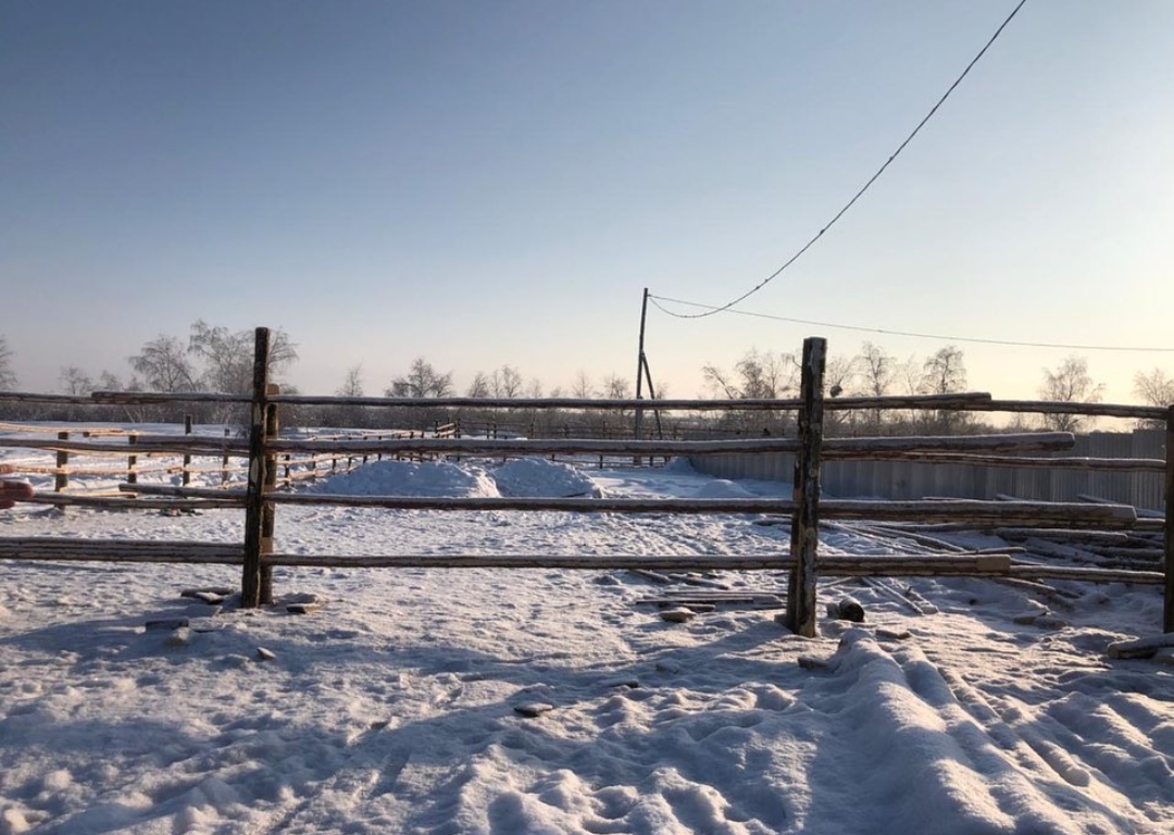 Обустройство «штрафстоянки» для лошадей и коров завершают в пригороде Якутска