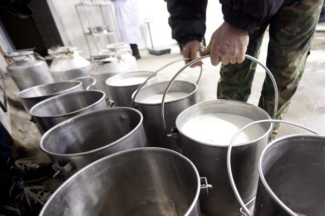 Свыше 3 млрд рублей предусмотрели для производства и переработки молока в Якутии в 2022 году