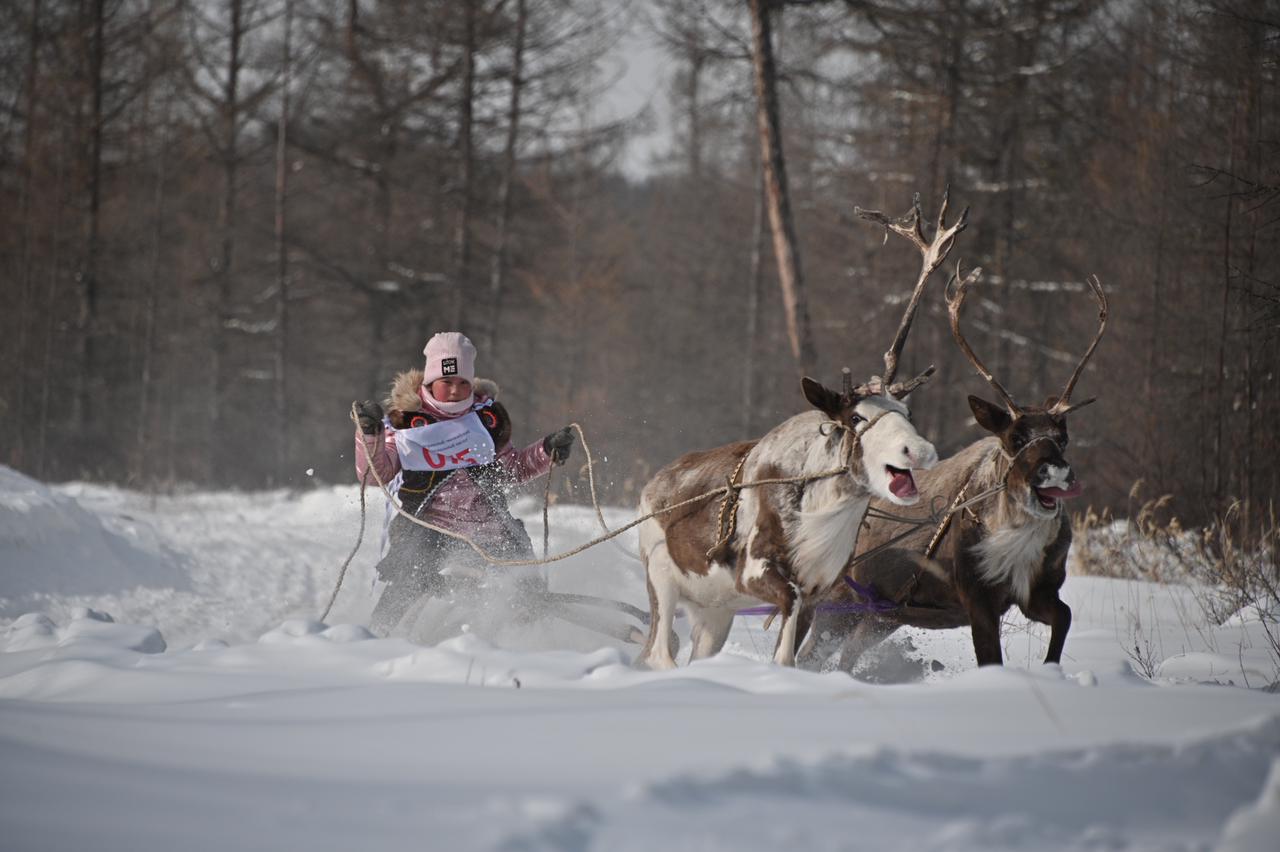 Детские оленьи гонки состоялись в Иенгре в Якутии