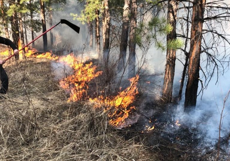 Штрафы за нарушение пожарной безопасности в лесах предложили повысить в 10 раз