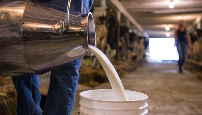 Субсидии на молоко раньше сроков получили сельхозпроизводители 17 районов Якутии