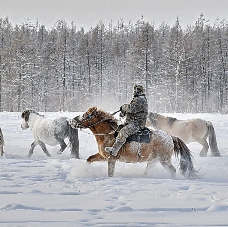 Учебный центр для коневодов-табунщиков откроют в якутском селе Чаппанда