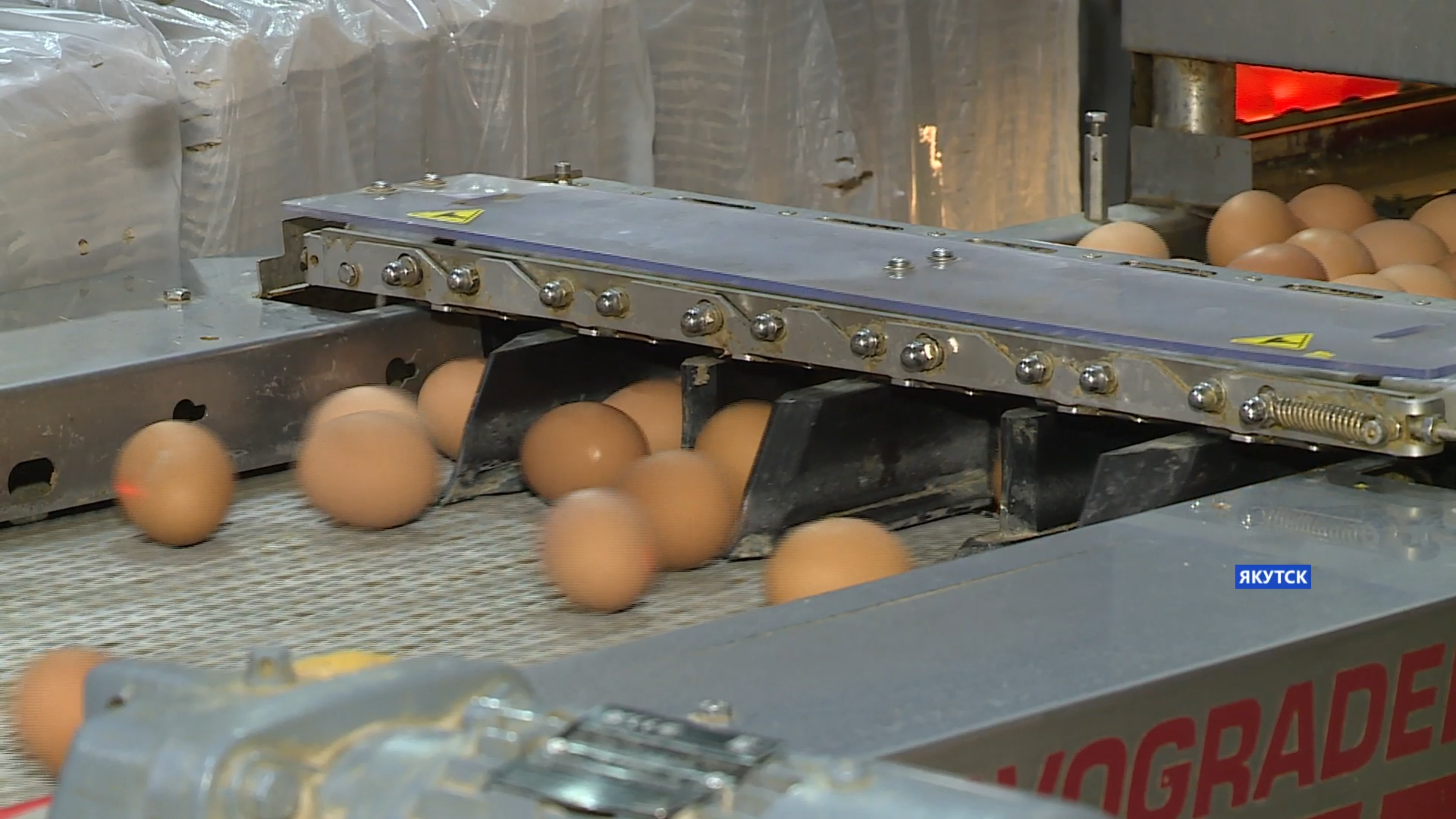 Якутская птицефабрика выпускает более 200 тыс яиц в сутки
