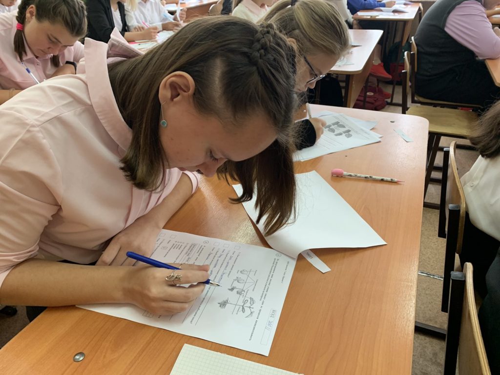 Всероссийские проверочные работы в школах России перенесли на осень
