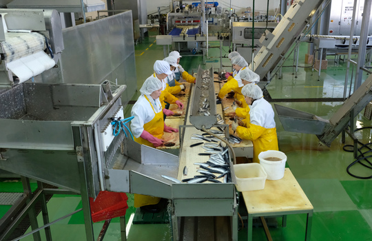 Производство рыбной продукции в РФ за январь-февраль выросло на 12,6 тыс тонн