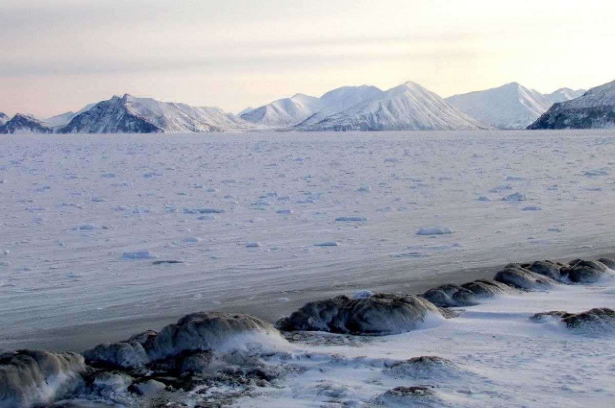 Порядка 2,2 тыс договоров на получение «арктического гектара» заключили в России