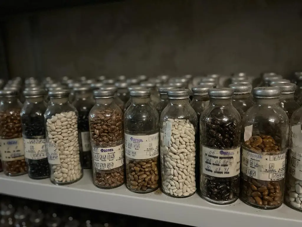 Резервную коллекцию семян на случай ЧС сохранят при создании криобанка в Якутии