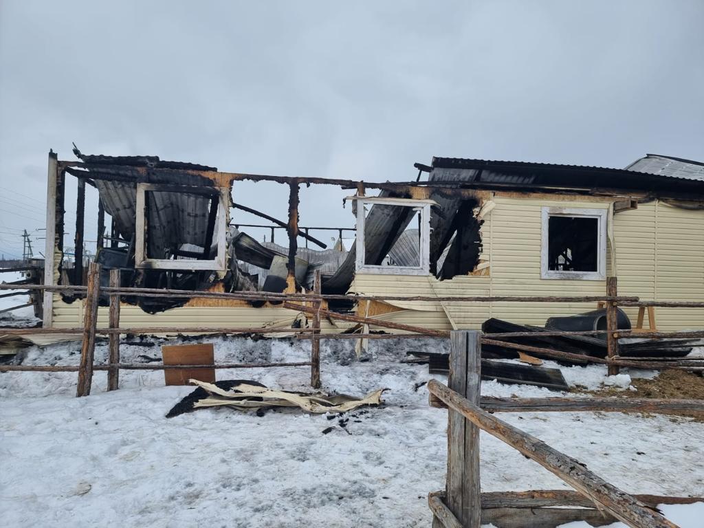 Более 560 птиц и кроликов погибли при пожаре в коровнике в Вилюйском районе Якутии