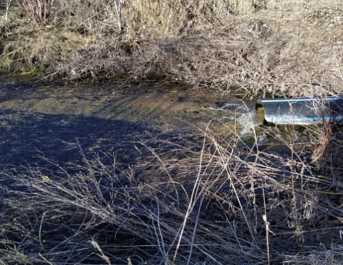 Загрязненная вода с ТЭЦ попала в ручей Семеновский в Нерюнгринском районе Якутии