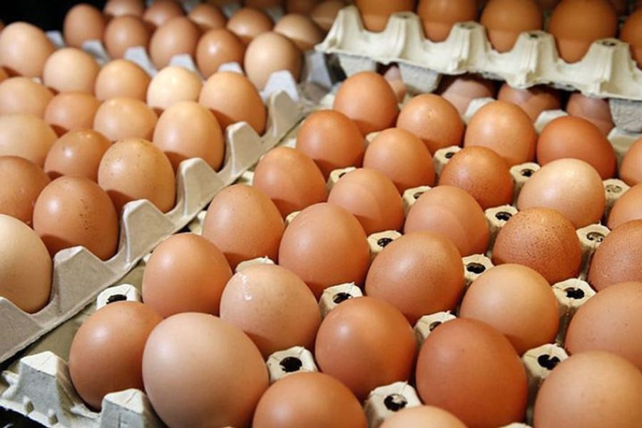 Производство мяса птицы и яиц в РФ превышает спрос