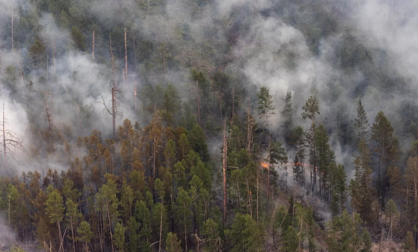 Прогноз пожарной опасности в лесах представили в Якутии