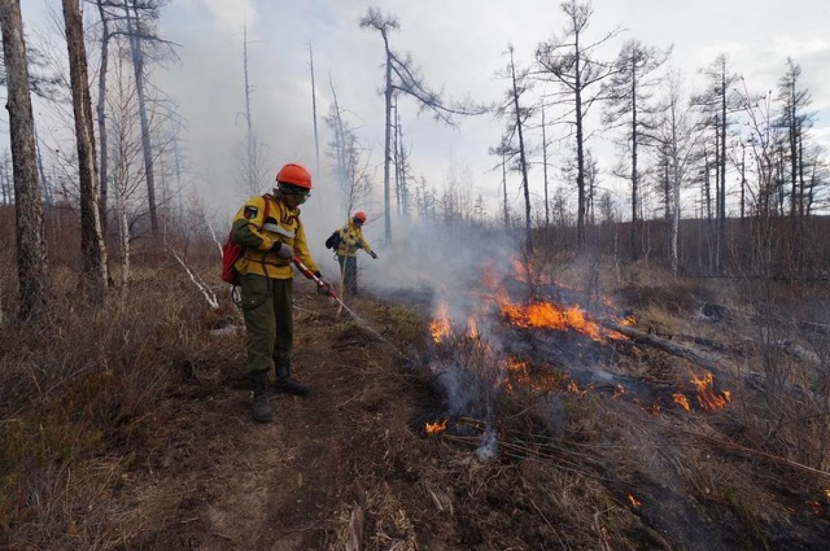 Якутян будут обучать тактике тушения лесных пожаров на первом слете добровольцев