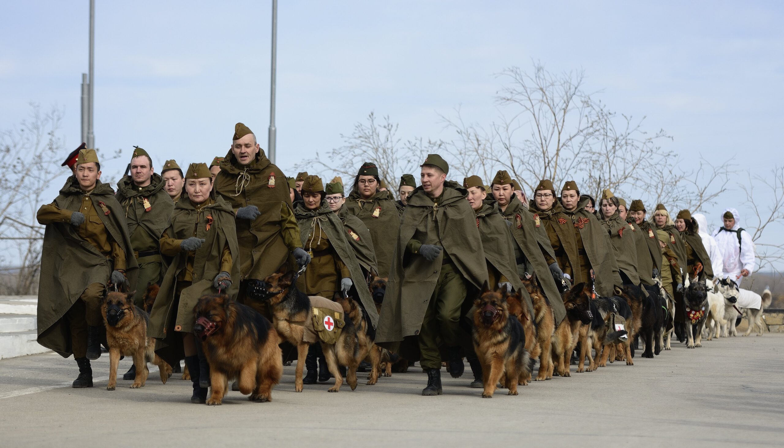 Юные собаководы примут участие в параде Победы в Якутске
