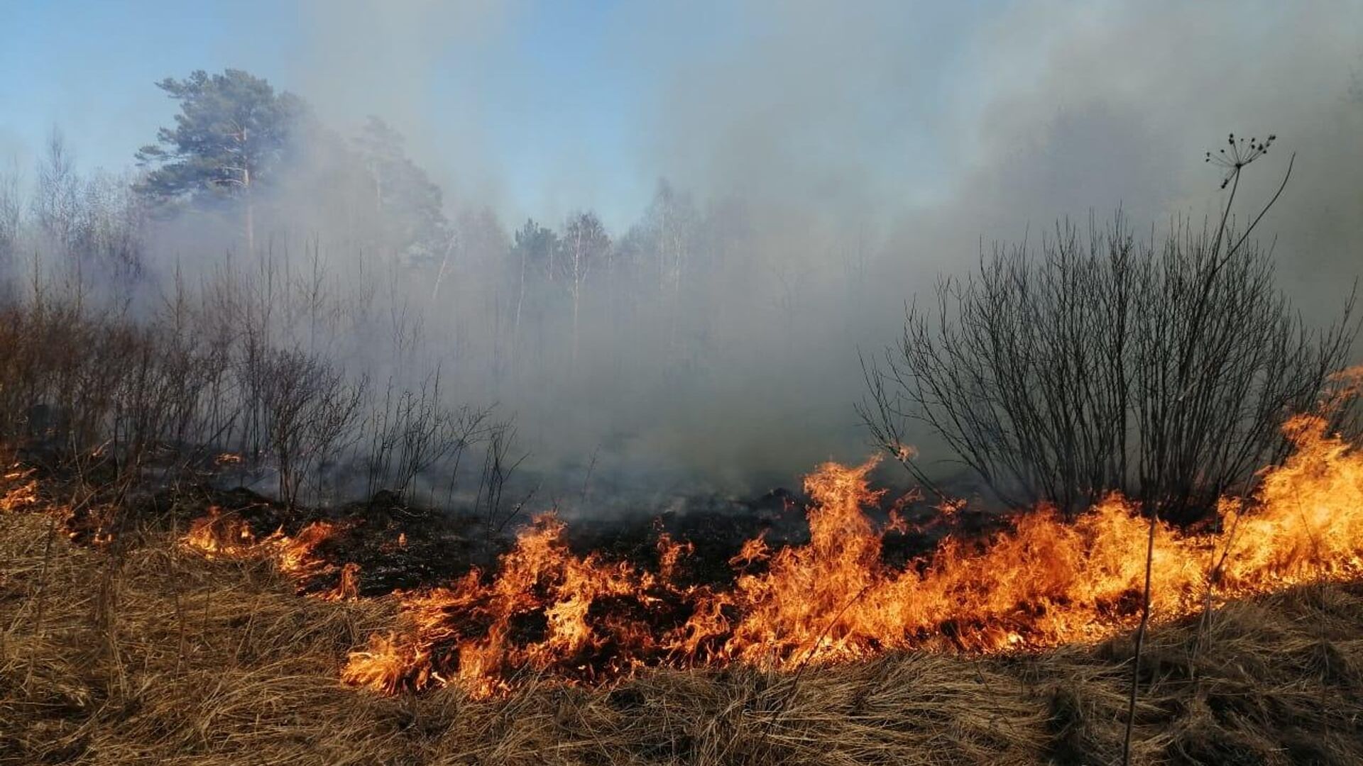 Природный пожар обнаружили в 11,8 км от села Мындагай в Якутии