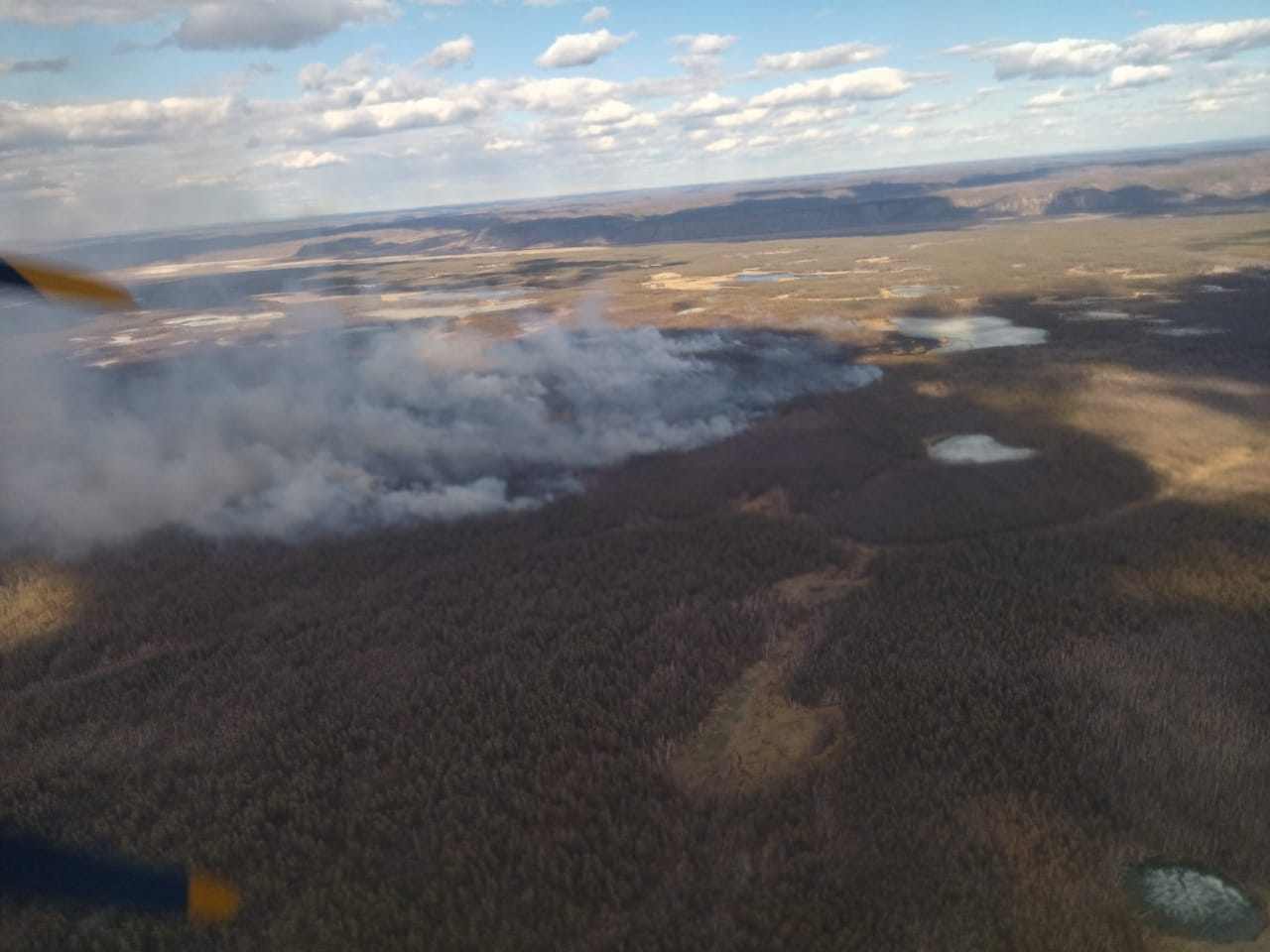 Лесной пожар действует в 14 км от села Сулгаччы в Якутии