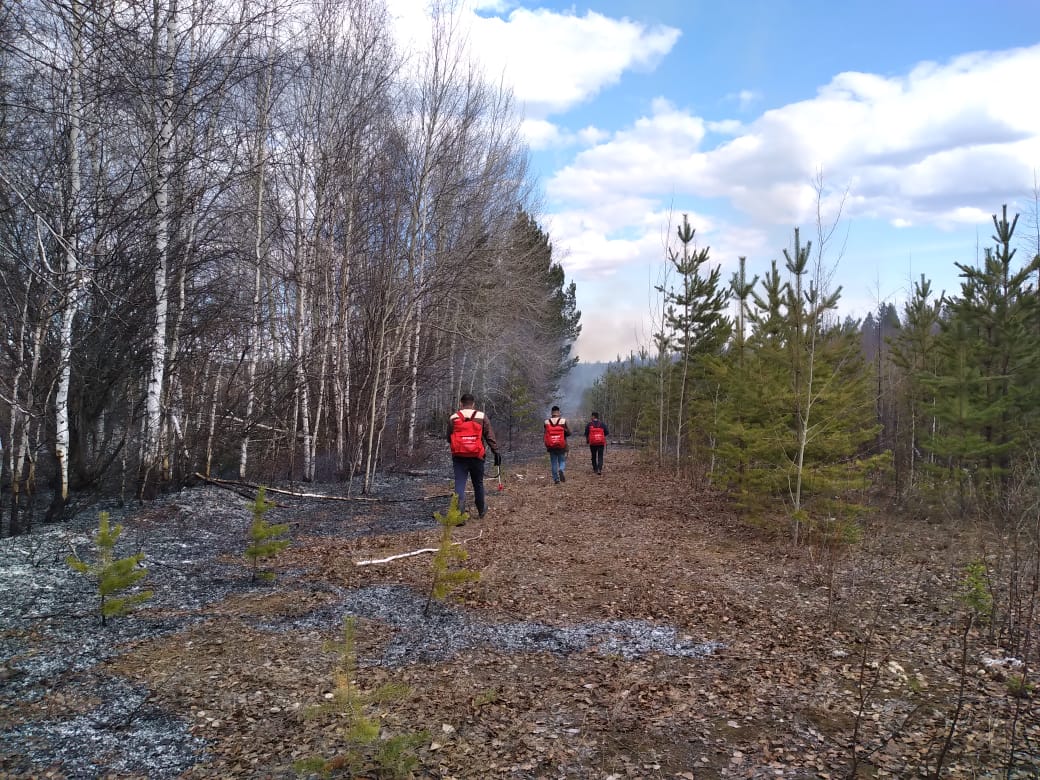 Лесной пожар потушили близ Олекминска в Якутии