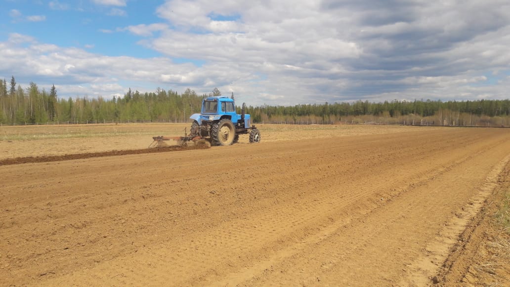 Площадь посева сельскохозяйственных культур увеличат в Якутии