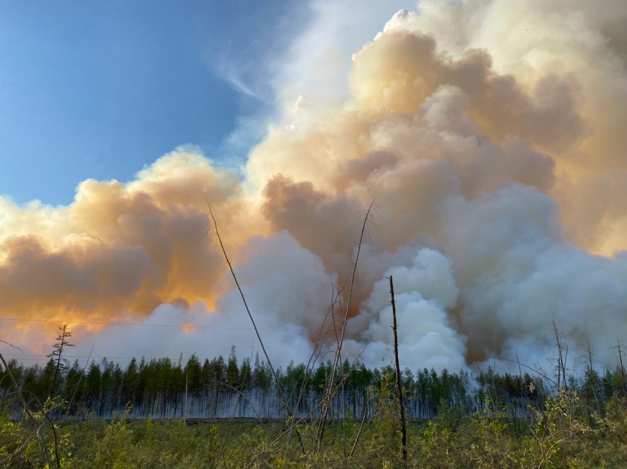 Минприроды РФ: Якутия в зоне риска возникновения лесных пожаров в июне