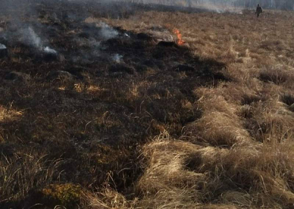 Режим ЧС из-за лесных пожаров ввели в одном из районов Бурятии