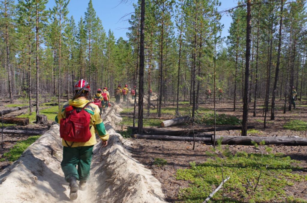 Пожароопасный сезон открыли в четырех районах Якутии