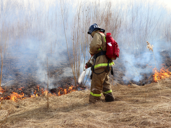 Пожароопасный сезон откроют с 18 мая в девяти районах Якутии
