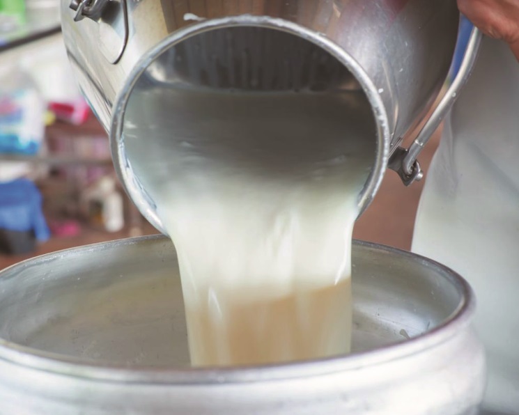 План по заготовке молока выполнили на 55% в Амгинском районе Якутии