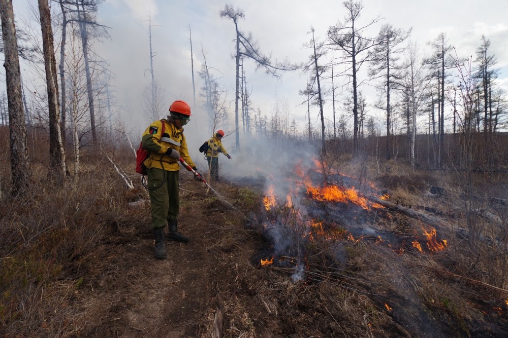 Лесной пожар локализовали в Ленском районе Якутии
