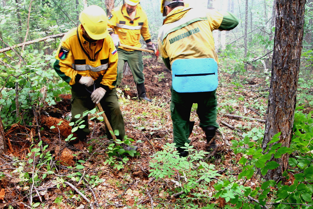Пожароопасный сезон открыт в девяти лесничествах Якутии