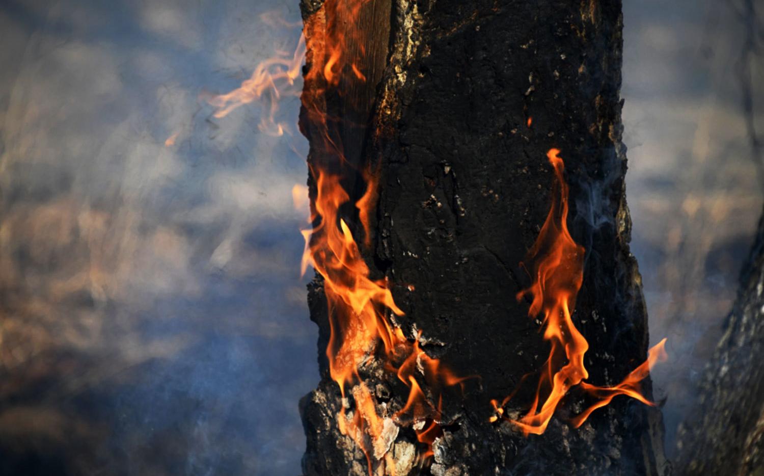 Пожароопасный сезон начнется с 23 мая еще в шести районах Якутии