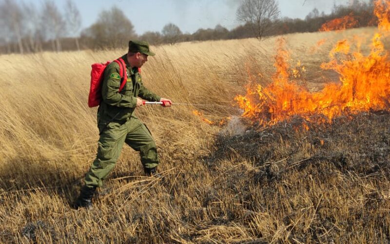 Правительство Якутии усилит взаимодействие с районами в пожароопасный сезон и период паводка
